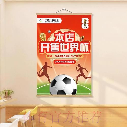 世界杯投注全攻略：从零基础到高手的实用教程